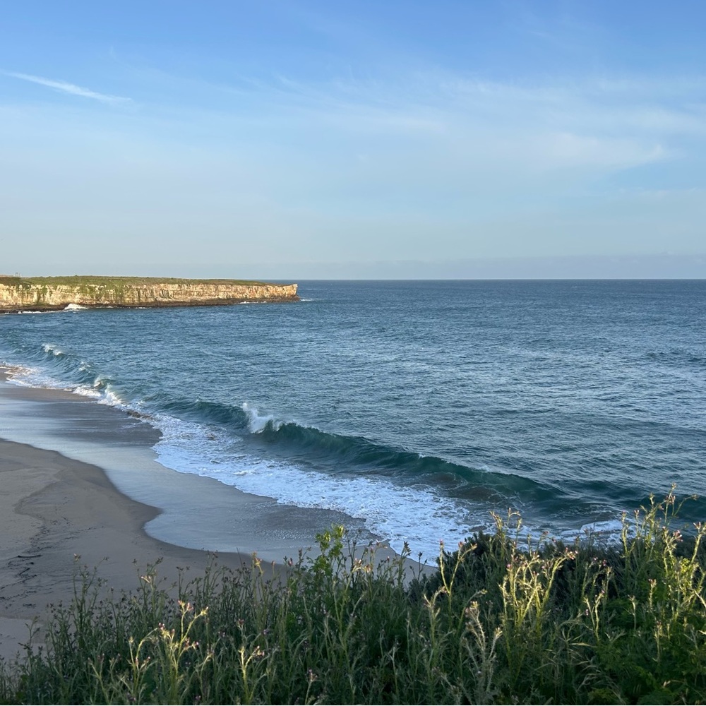 Meet your Posher, Jess